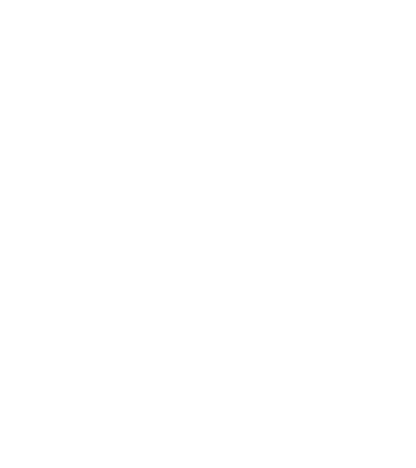 LOVE Border Collie model negru pe tricou
