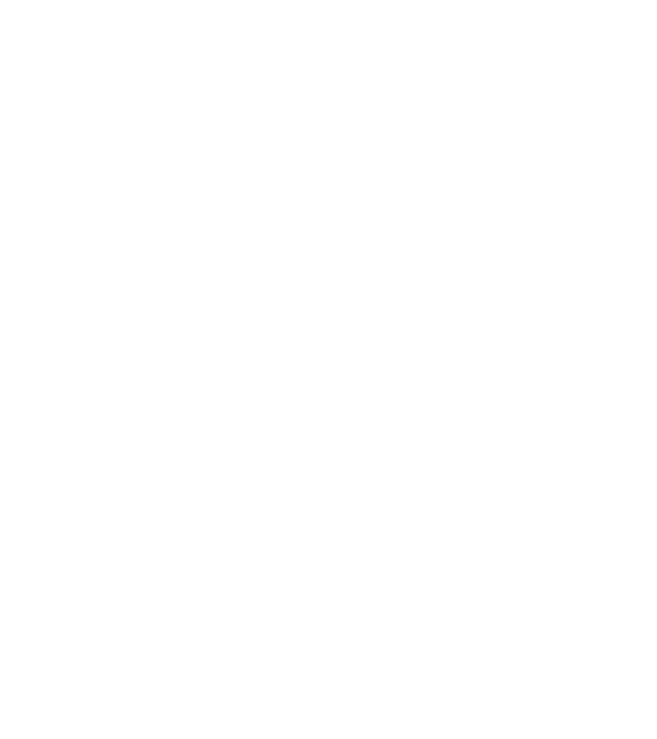 'Rock''n''Roll whiskey' model negru pe tricou