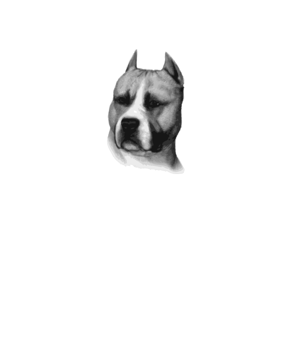 Staffordshire Terrier model alb pe tricou