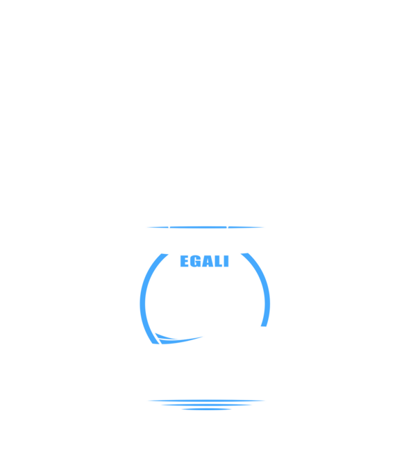 Toți bărbații se nasc egali înotători model negru pe tricou