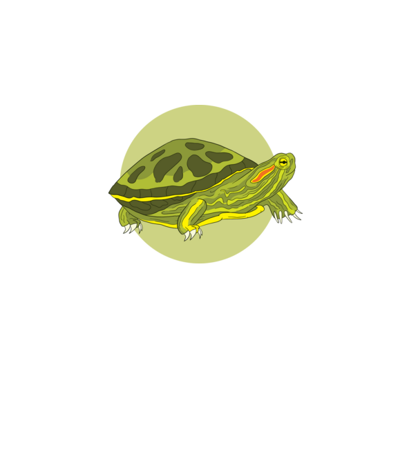 Turtle model turcoaz pe tricou