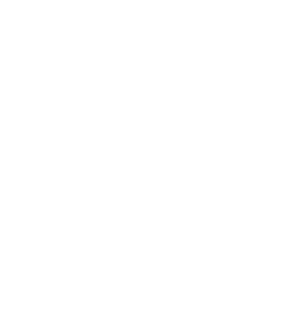 Crazy Cat Ladies are born in June model turcoaz pe tricou