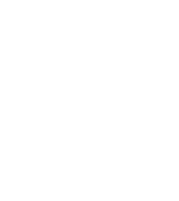 Crazy Cat Ladies are born in April model negru pe tricou