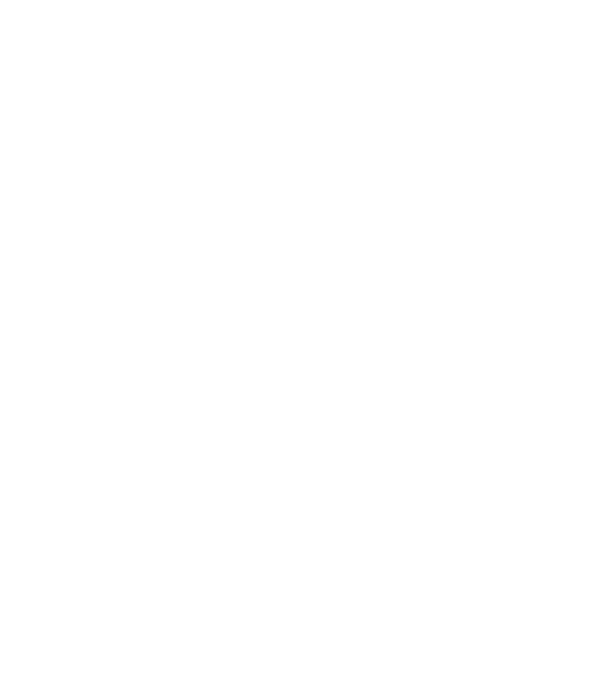 Crazy Cat Ladies are born in June model negru pe tricou