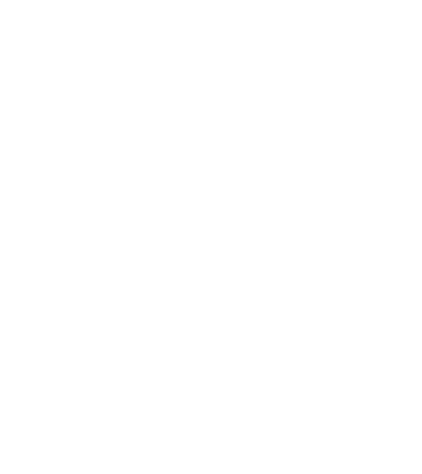 W.I.F.E. model negru pe tricou