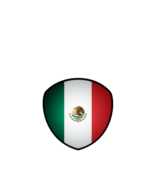 MEX-jabulani-flag model alb pe tricou