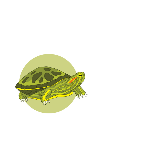 Turtle model negru pe tricou