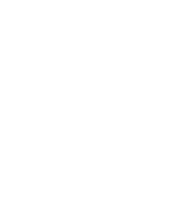 LOVE Border Collie model negru pe tricou