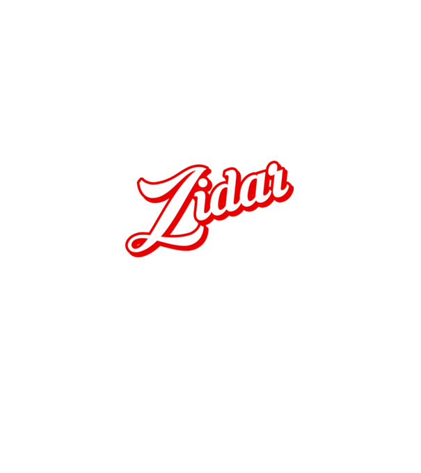 Cel mai bun ZIDAR din lume model negru pe tricou