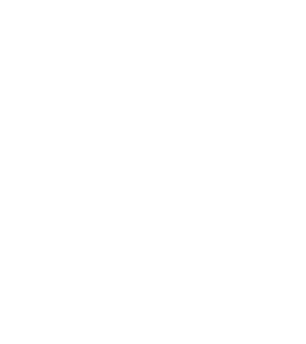 LOVE BEAGLE model gri pe tricou