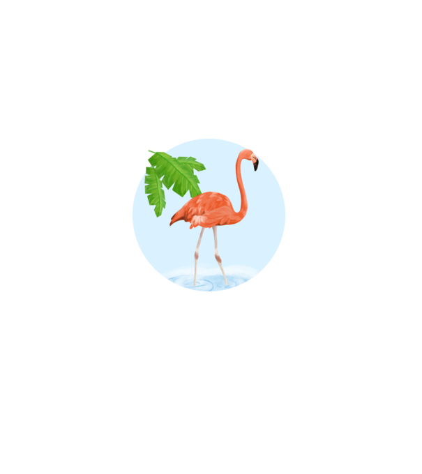 Flamingo model negru pe tricou
