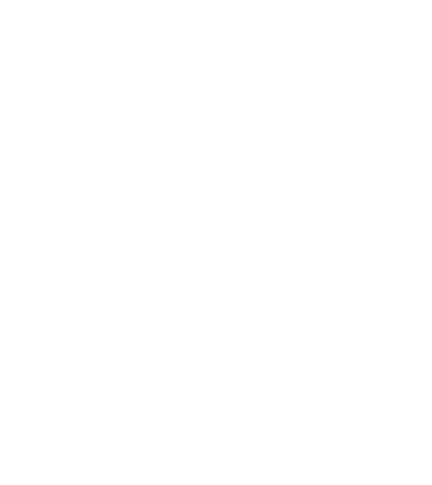 Mr 1 model negru pe tricou