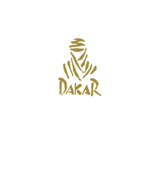 Dakar Rally model gri pe tricou