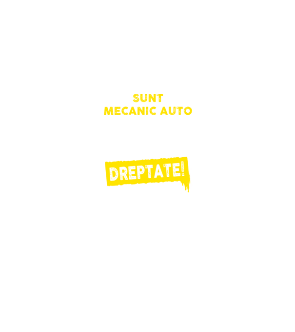 sunt MECANIC AUTO, pentru a economisi timp, să reținem că am întotdeauna dreptate model negru pe tricou
