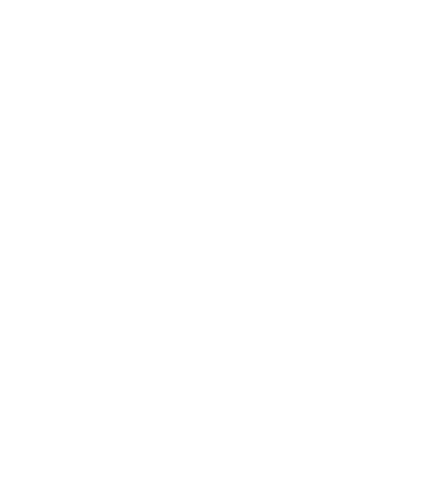 W.I.F.E. model negru pe tricou