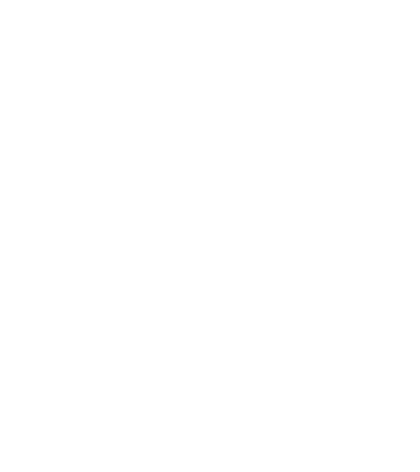 Tatadidas model nisipiu pe tricou