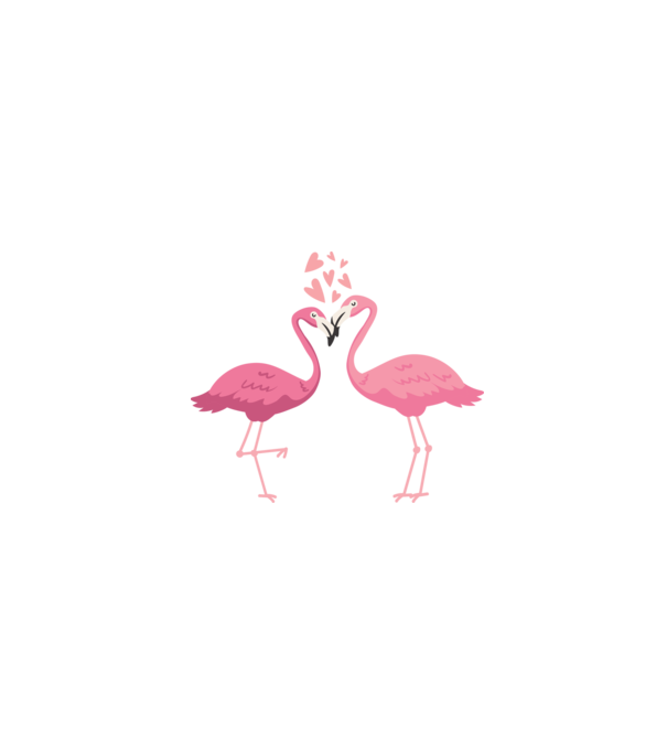 FLAMINGO ÎNDRĂGOSTIȚI model alb pe tricou