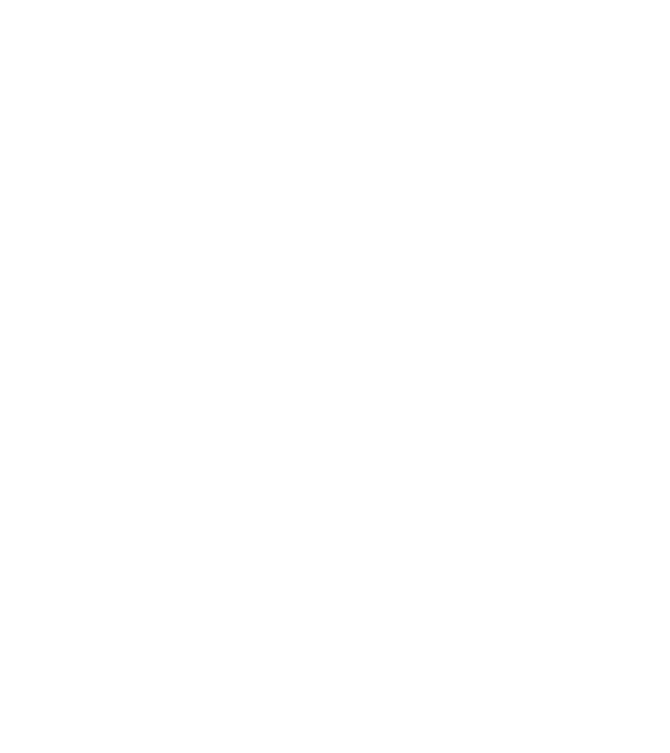 Așa arată un APICULTOR foarte chipeș model negru pe tricou