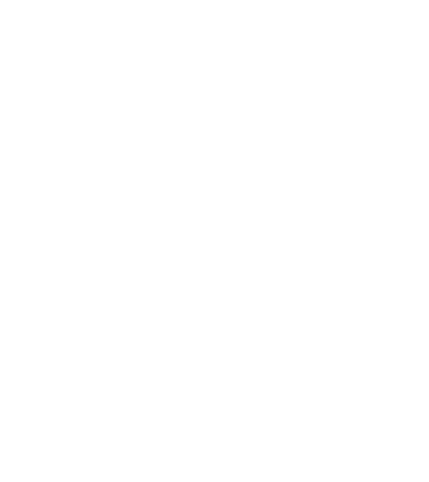 Crazy Cat Ladies are born in December model gri pe tricou