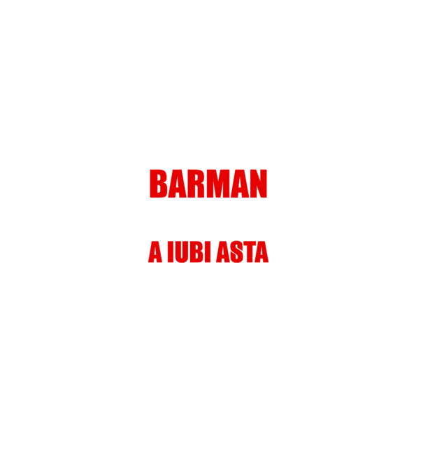 Sunt suficient de priceput pentru a fi BARMAN și suficient de nebun pentru a iubi asta model gri pe tricou