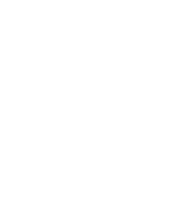 nimeni nu e perfect, dar alpiniștii sunt foarte aproape model negru pe tricou