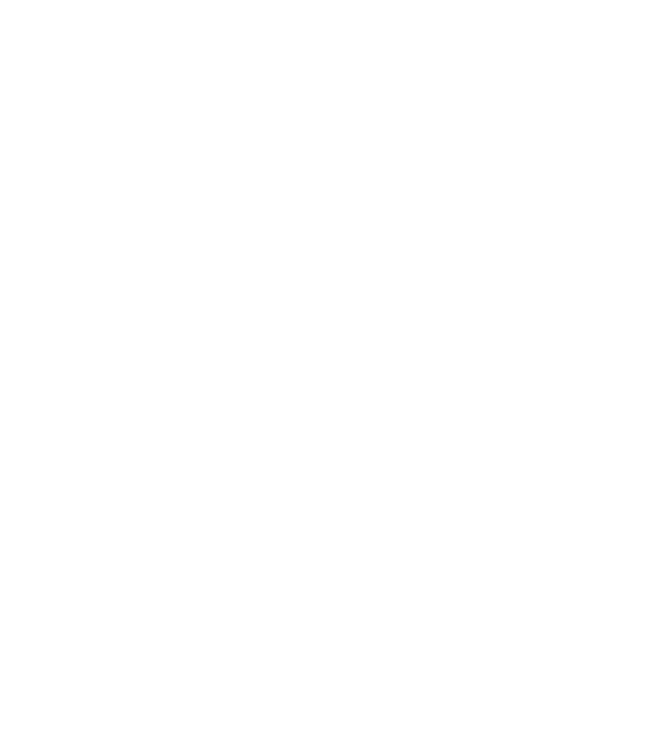 nimeni nu e perfect, dar stăpânii de chivava sunt foarte aproape model negru pe tricou