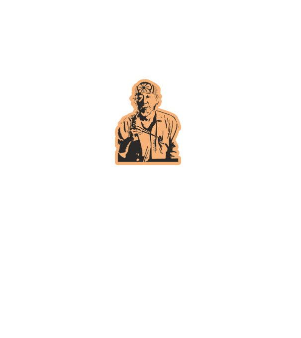Mister miyagi cobra kai model gri pe tricou