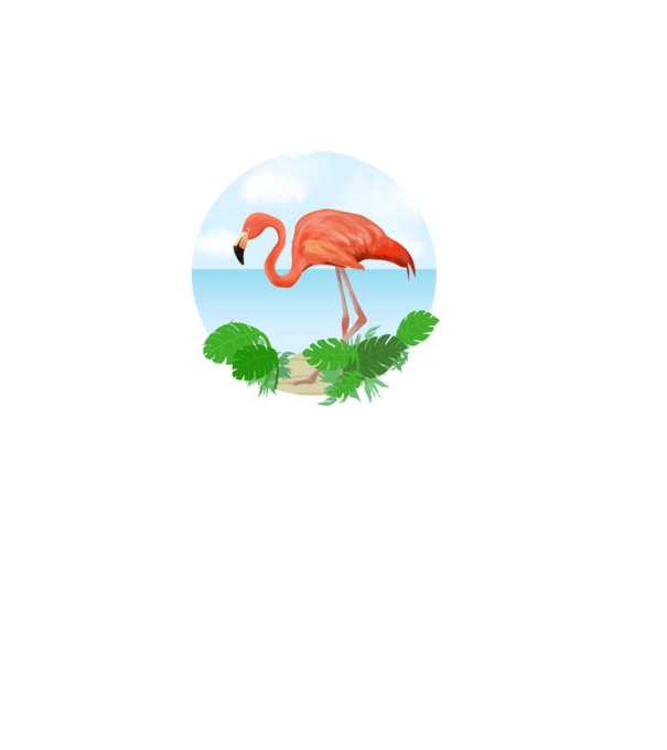 Flamingo model alb pe tricou