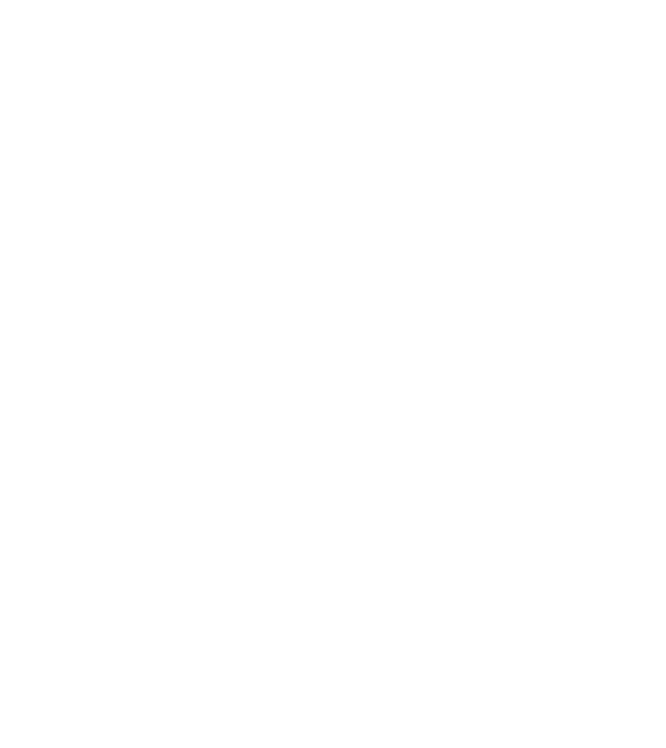 Freedom model albastru deschis pe tricou
