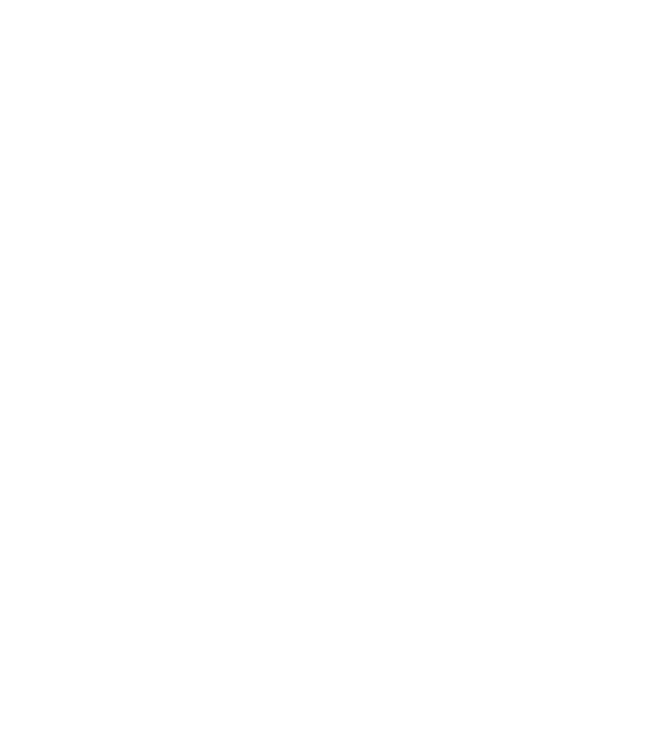 Cei mai buni sudori sunt născuți în Februarie model negru pe tricou