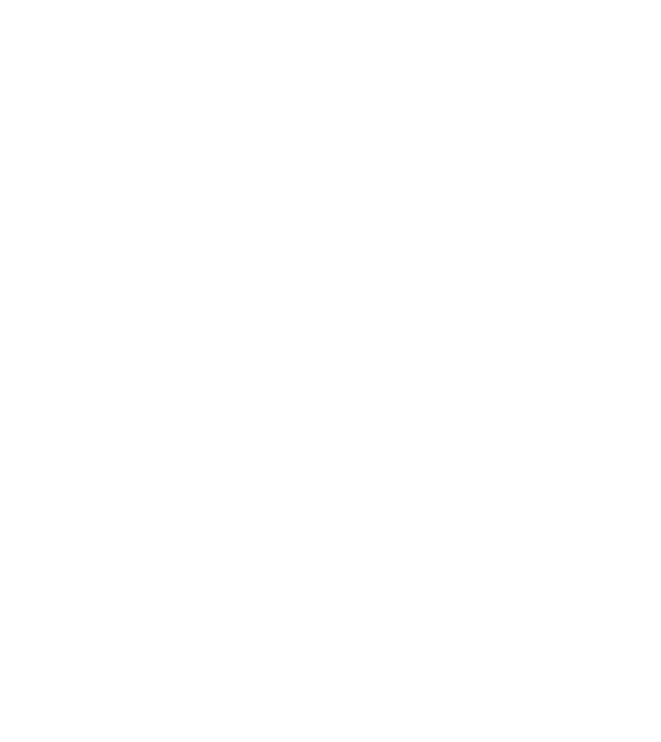 Homework never model gri pe tricou
