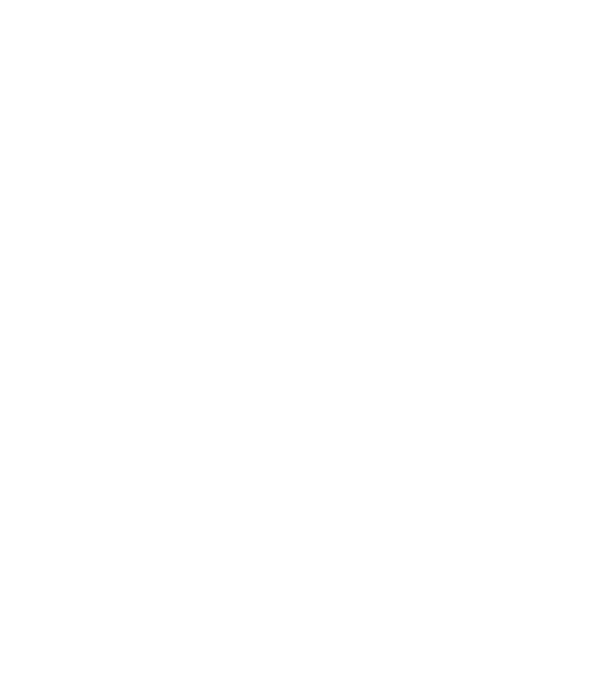 nimeni nu e perfect, dar stăpânii de boston terrier sunt foarte aproape model negru pe tricou