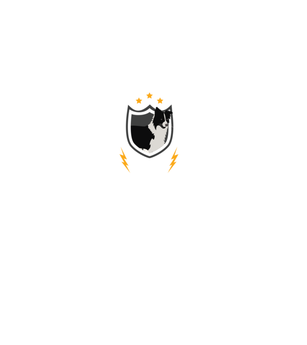 serviciu de securitate - securitate - persistență - 24 de ore pe zi model negru pe tricou