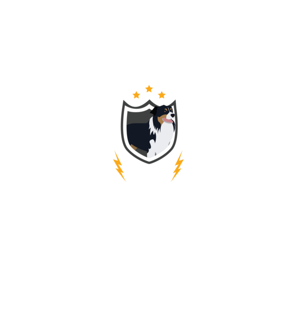 serviciu de securitate - securitate - persistență - 24 de ore pe zi model negru pe tricou