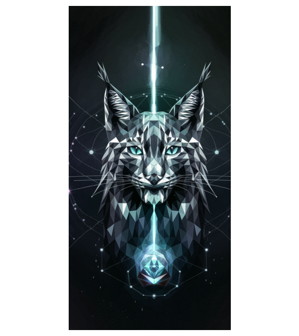 Diamant lynx model alb pe tricou