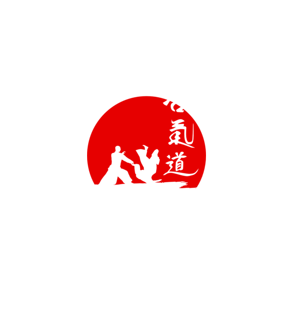 Aikido model negru pe tricou