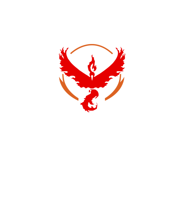 Valor team logo model alb pe tricou
