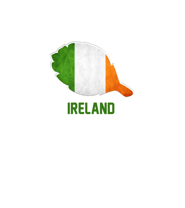 Steag irlandez model alb pe tricou