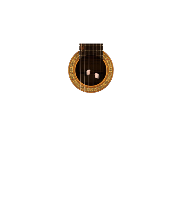 Guitar prison model negru pe tricou