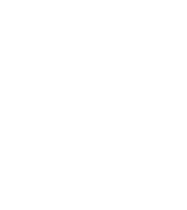 Mr. model negru pe tricou