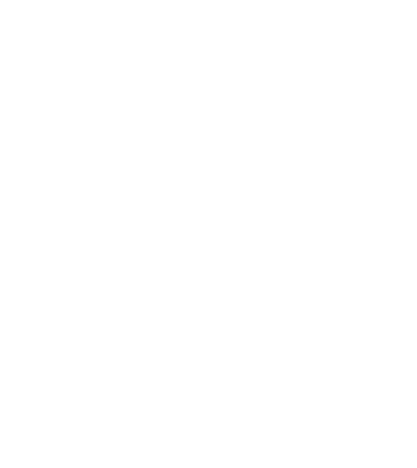 Its in my DNA model roșu pe tricou