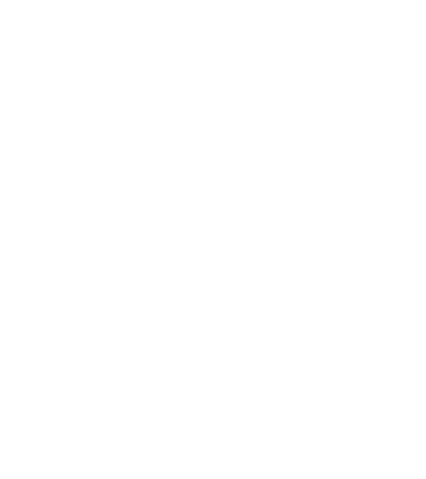 ADVENTURE model negru pe tricou