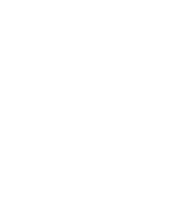 EarthLogo model negru pe tricou