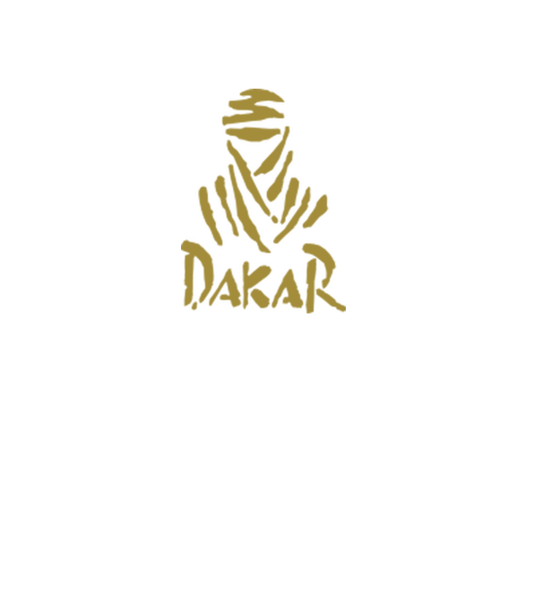 Dakar Rally model gri pe tricou