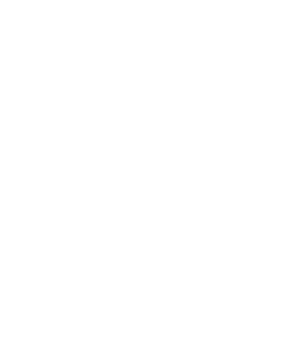 Jon Snow streets model gri pe tricou