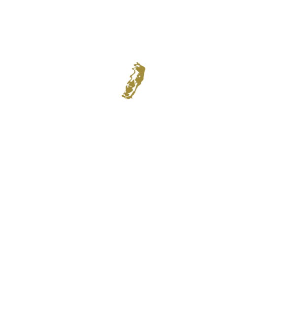 King in the north 2c model negru pe tricou