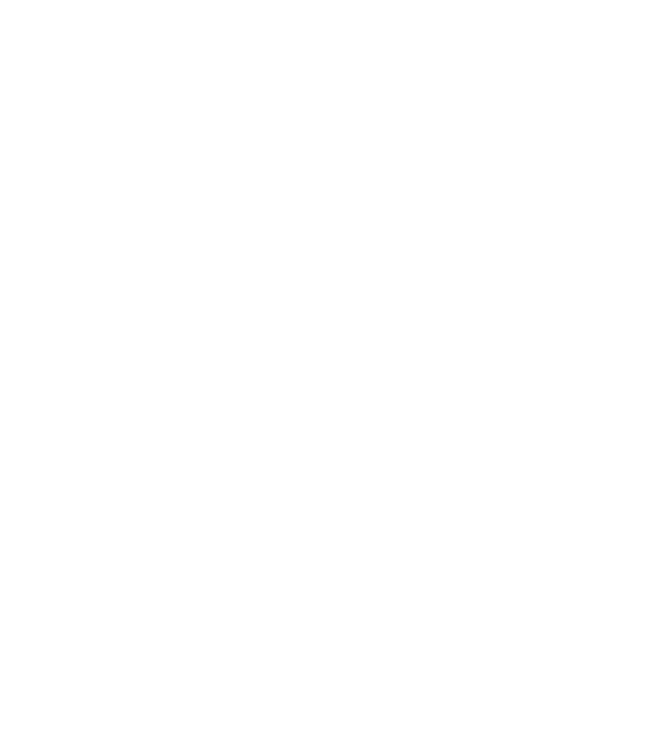 România Bucharest map model alb pe tricou