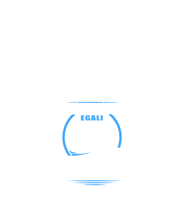 Toți bărbații se nasc egali mecanici auto model negru pe tricou