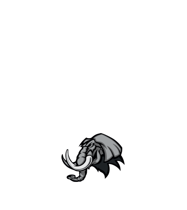 Elephant model alb pe tricou
