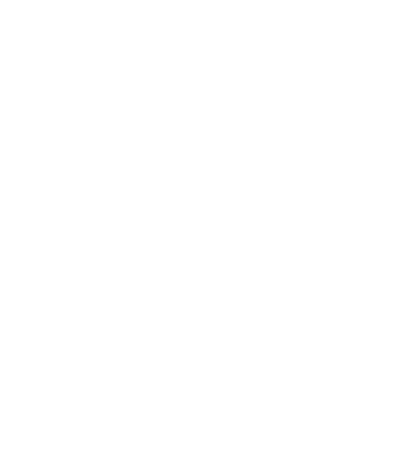 EarthLogo model negru pe tricou
